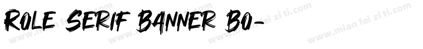 Role Serif Banner Bo字体转换